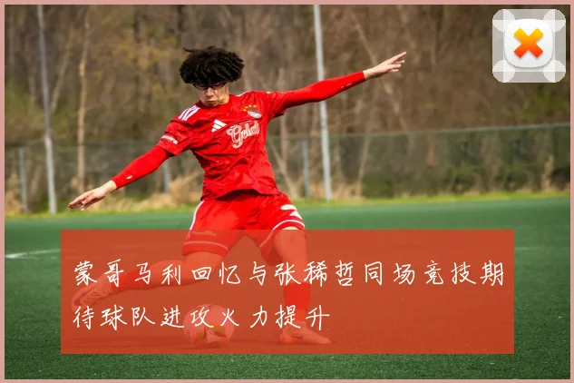 蒙哥马利回忆与张稀哲同场竞技期待球队进攻火力提升