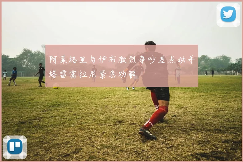 阿莱格里与伊布激烈争吵差点动手塔雷富拉尼紧急劝解