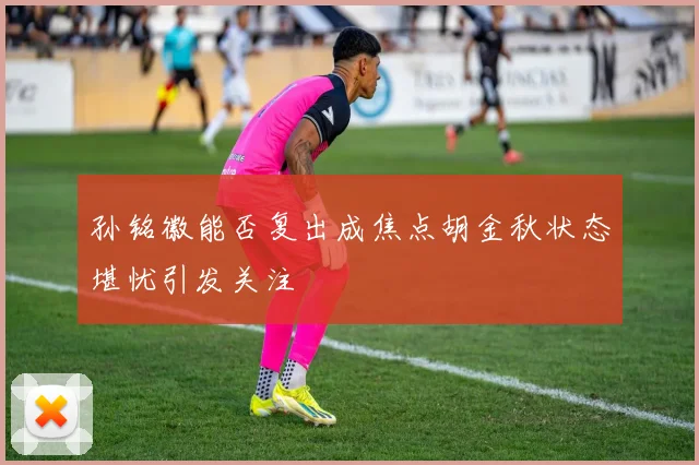 孙铭徽能否复出成焦点胡金秋状态堪忧引发关注